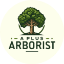 A-Plus-Arborist white Logo